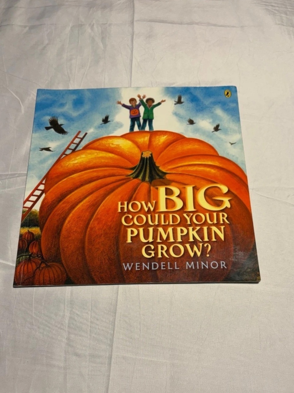 How Big Could Your Pumpkin Grow? Picture Book Paperback, Kids Halloween Book